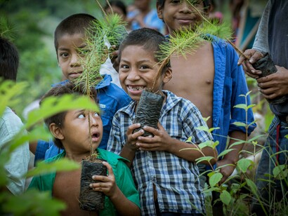 In Jocotán, Chiquimula, Guatemala, children hold young seedlings in a forest, symbolizing their commitment to the Sustainable Development Goals and climate action