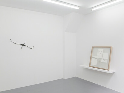 Ella Littwitz. Courtesy of Harlan Levey Projects