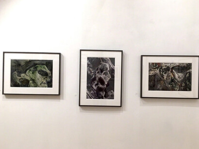 Portraits of Point Lobos. Courtesy of Viridian Artists