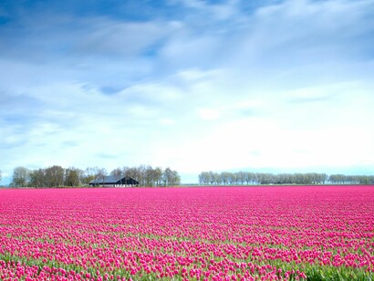 Holanda