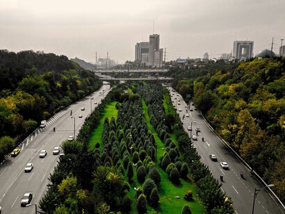 Attraverso l’evapotraspirazione, la vegetazione contribuisce a raffrescare l’aria e il microclima urbano