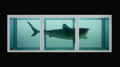 Damien Hirst, The Impossibility The Physical Impossibility of Death in the Mind of Someone Living, (1991), ph.  Prudence Cuming Associates © Damien Hirst and Science Ltd. All rights reserved, DACS 2012