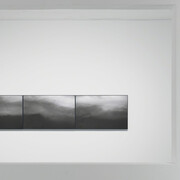 Silky Beauty. Courtesy of Amy Li Gallery