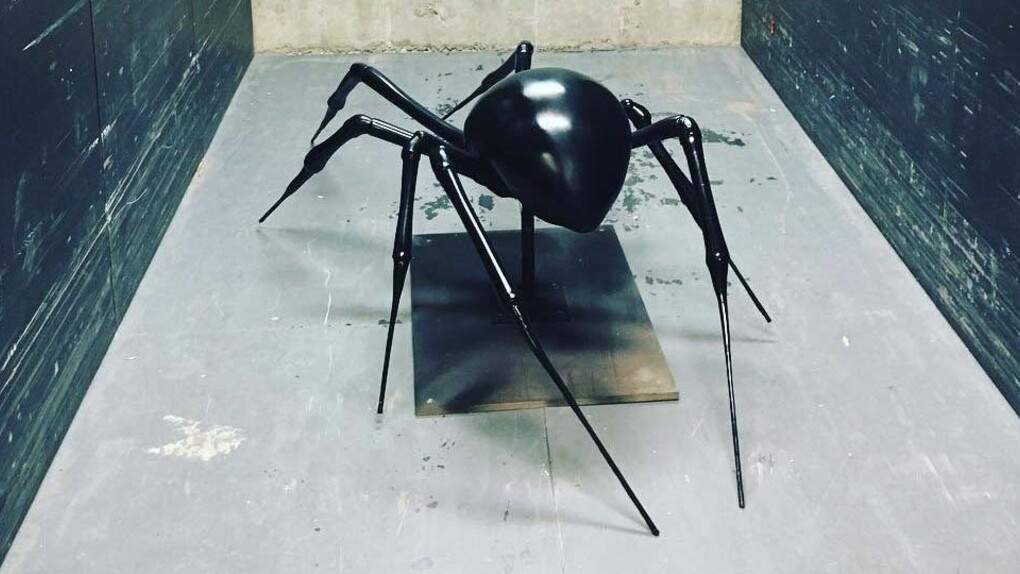 Spiders. Courtesy of ROM