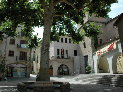 Una de las primeras acciones carlistas pretendía arrancar y quemar el Árbol de la Libertad por su sentido liberal. Arbúcies, Girona, España