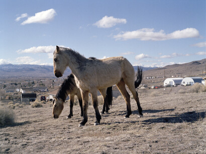 Charlotte Dumas, Sam Clemens Avenue Stagecoach NV, from the series The Widest Prairies, 2013 © Charlotte Dumas, Courtesy of the artist