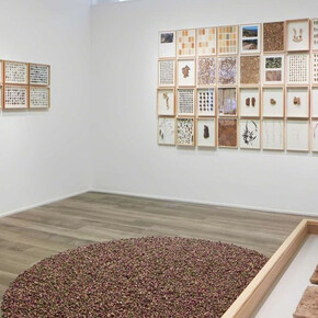 Herman De Vries, Exhibition view. Courtesy of Cortesi Gallery