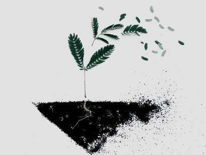 Os místicos e esotéricos ressaltam que são ciclos que vivemos de nove em nove anos