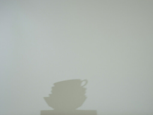 Catherine Wagner. Courtesy of Anglim Gilbert Gallery