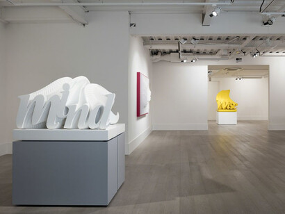Ramin Shirdel, Exhibition view. Courtesy of Sophia Contemporary