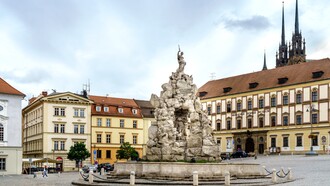 Zelný trh (tedesco: Kraut Markt; italiano: “Mercato dei cavoli”) è una piazza e un mercato tradizionale di Brno, Repubblica Ceca. Si trova nel centro storico di Brno su un'area di circa 0,6 ettari (1,5 acri). Al centro della piazza si trova la Fontana del Parnaso, che prende il nome dal monte Parnaso, una grande fontana barocca creata nel 1690-1695. Ha una pianta a stella a sei punte ed è decorata con molte figure allegoriche e animali mitici