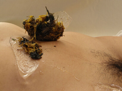 Performance «Lágrimas de renacimiento» de Illimani de los Andes