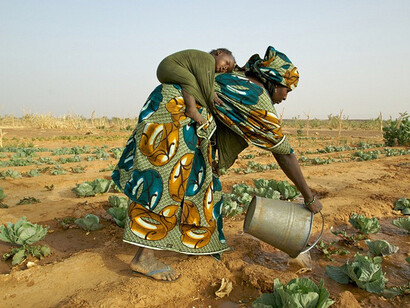 Piani agricoli in Africa