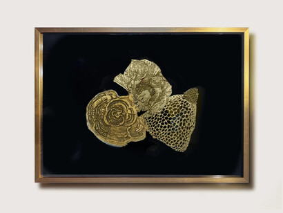 Edo Costantin, Winter solstice: seeds of nothingness, exhibition view. Courtesy of Praxis