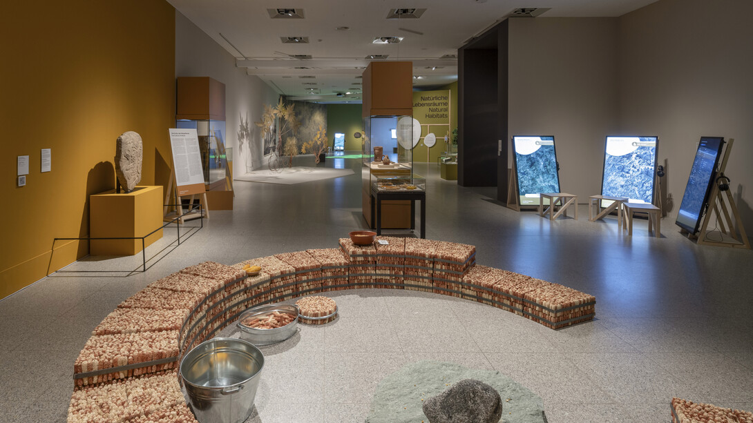 Save land. United for land, Ausstellungsansicht. Mit freundlicher Genehmigung der Bundeskunsthalle