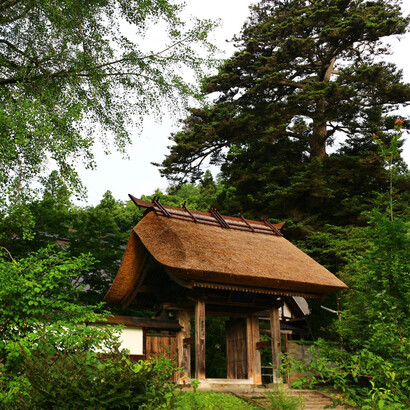 Il tempio di Keitokuji incorniciato da alberi