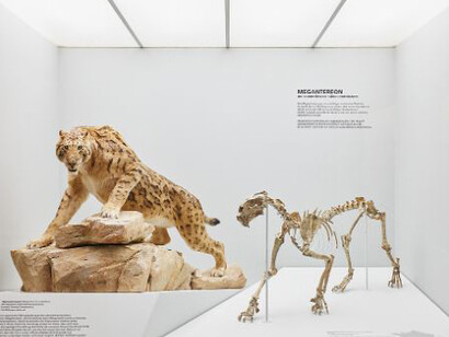 Mammoth & Sabre-Toothed Tiger. Courtesy of Naturhistorisches Museum Basel