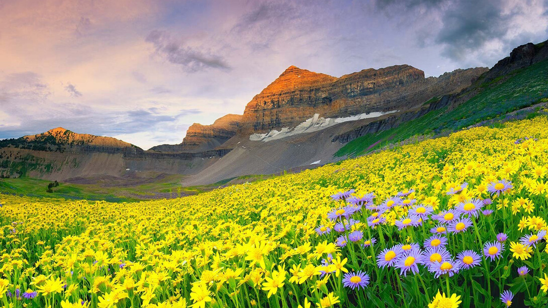 Joshimath, Valley of Flowers