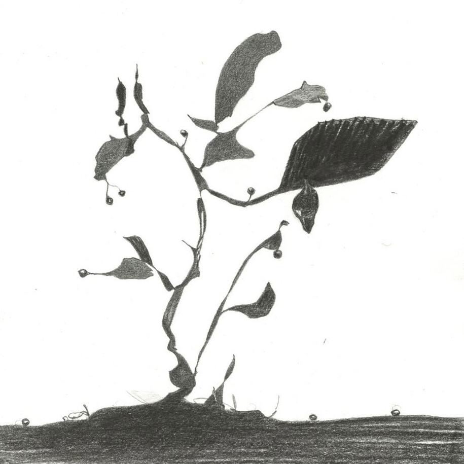 Nicola Tyson, Chrysalis, 2015, Mine de plomb sur papier, 19 x 19 cm © Courtesy Nicola Tyson et Petzel Gallery, New York