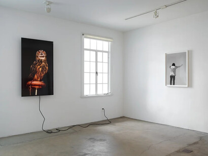 Various artists, lull between storms, exhibition view. Courtesy of 1301 PE