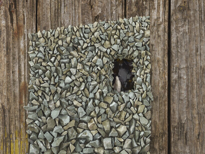 Forestiero, 2019, foto Nicola Strocchi