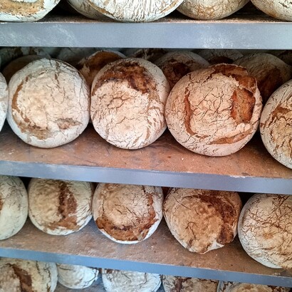 Scegliere pane da filiera corta realizzato con grani antichi permette di ridurre i trasporti, minimizzare gli imballaggi industriali e dare sostegno ai piccoli produttori locali, con effetti positivi sulle emissioni indirette