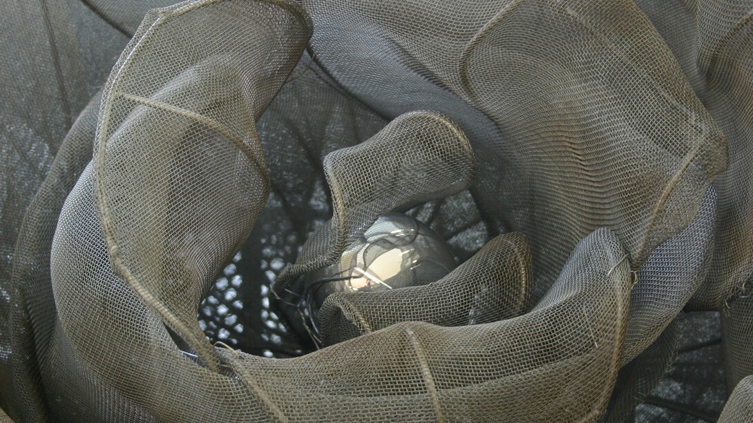 Rosa, particolare scultura