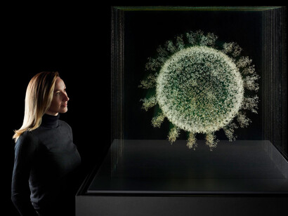 Injecting hope. The race for a COVID-19 vaccine, exhibition view. Courtesy of Museum of Science and Industry