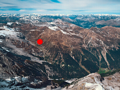 Fliegen, Mücken und Flöhe. Courtesy of Museum für Naturkunde