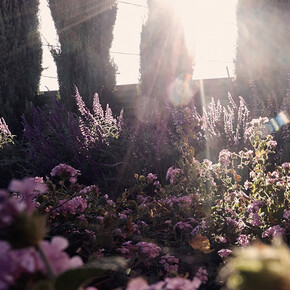 Adler Guerrier. Courtesy of CAAM 