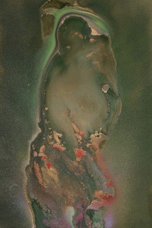 Val Kilmer From Nature. Courtesy of Woodward Gallery