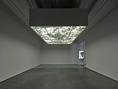 Adrián Villar Rojas, First Gods, lost animals, exhibition view. Courtesy of Aspen Art Museum