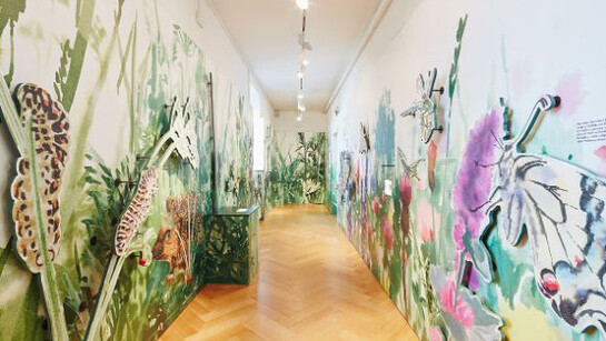 Loophole. Courtesy of Naturhistorisches Museum Basel