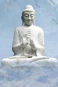 Il tuo scopo nella vita è quello di trovare uno scopo e dargli tutto il tuo cuore (Buddha)