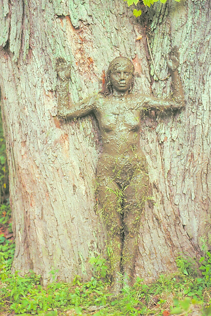 Ana Mendieta, Tree of Life, 1985