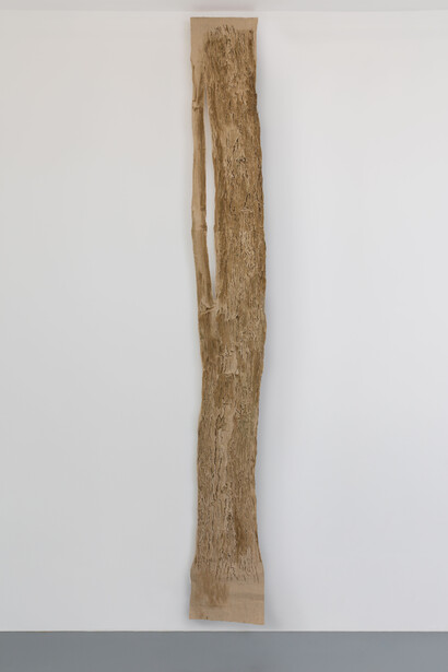 Under the Spell of the Image. Courtesy of The Approach