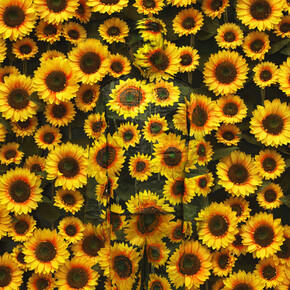 The Invisible Man. Courtesy of Erarta Museum