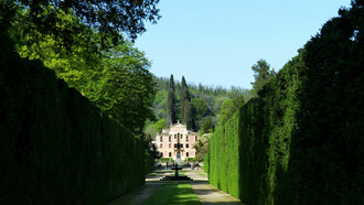 Il viale del carro costeggiato da spalliere di Buxus sempervirens