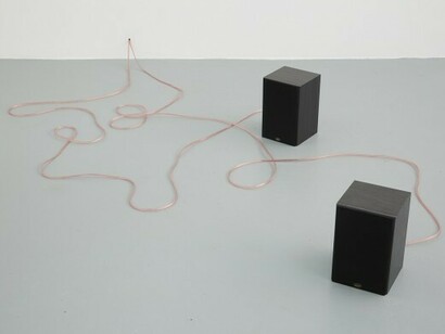 How the mind comes to be furnished James Irwin & Lilah Fowler, 2016