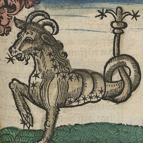 Il segno del Capricorno