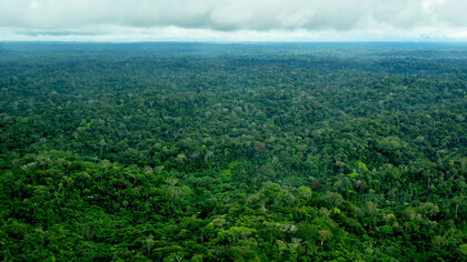 Amazon, Shell to Llanchamacocha flight @ Ashish Kothari