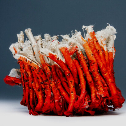 Kiyomi Iwata. Polaridad Uno, 2014. ogarami choshi, tinte y nudos de bordado francés