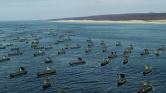 Según la tradición, los aqueos viajaron en más de mil naves o embarcaciones hasta llegar a las costas de Troya e iniciar el asedio de la amurallada ciudad