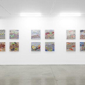 Installation view of David Schorr: Flying Carpets. Courtesy of Ryan Lee, New York.