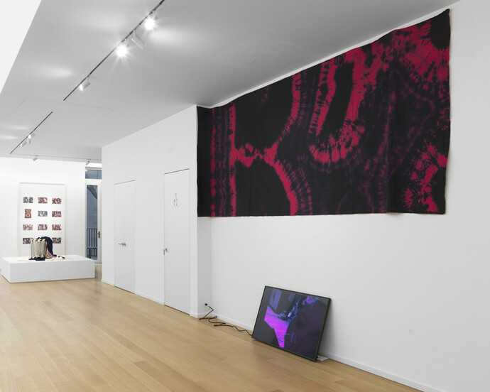 New Pleasure, Exhibition view. Courtesy of Simon Lee Gallery 