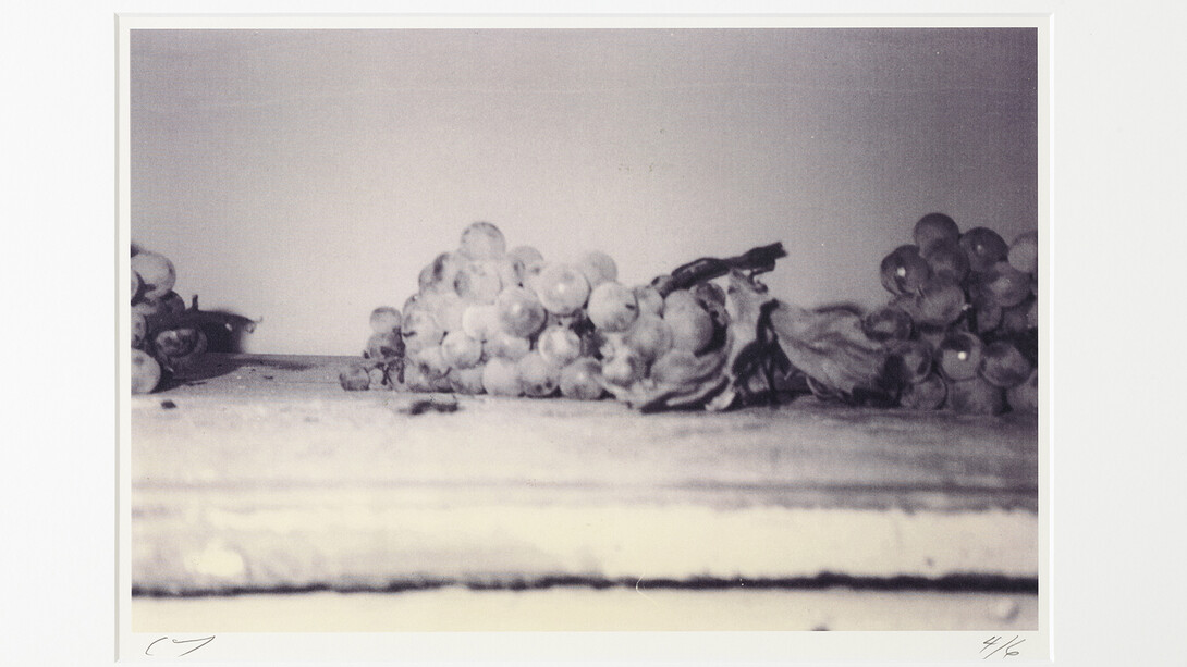 Cy Twombly, 1997, Grapes (Gaeta), (c) Fondazione Nicola Del Roscio. Courtesy archives Fondazione Nicola Del Roscio