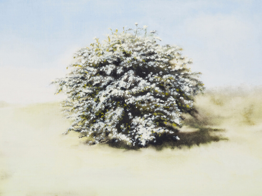 The Turning World. Courtesy of Charlie Smith London