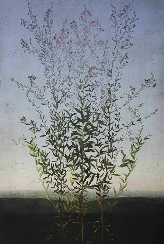 Michael Canning, Language and information