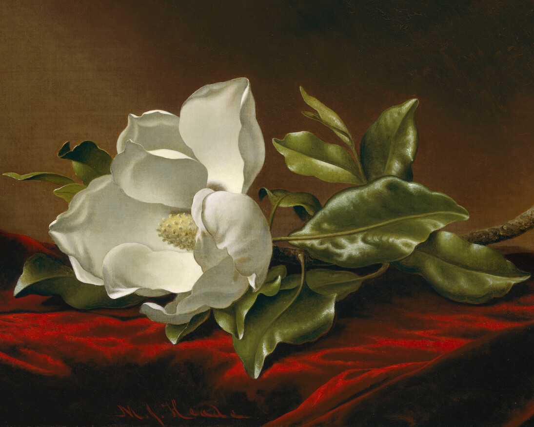 The Genius of Martin Johnson Heade. Courtesy of Georgia Museum of Art