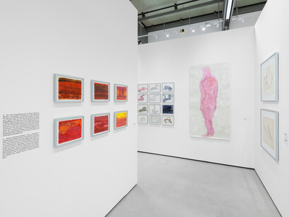 Heliane Wiesauer-Reiterer, Condensations, exhibition view. Courtesy of Musa Museum